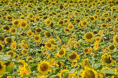 “逆城市”建设类游戏《伊始之地》3＆28发行